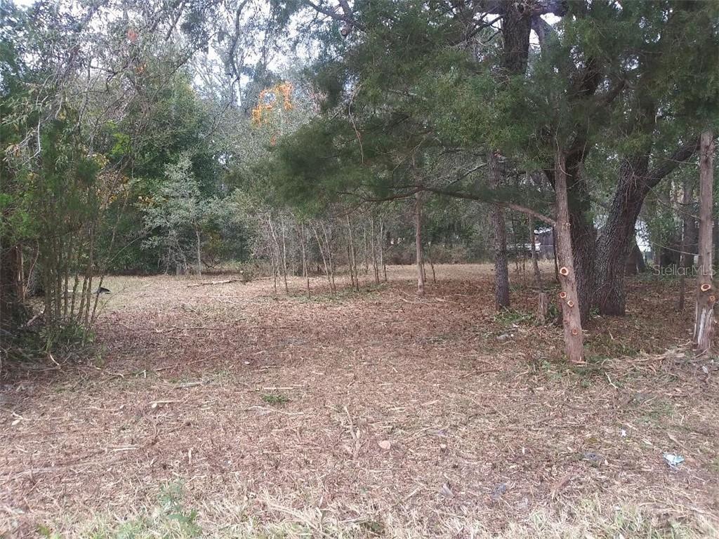 County Road 561, Astatula, FL 34705