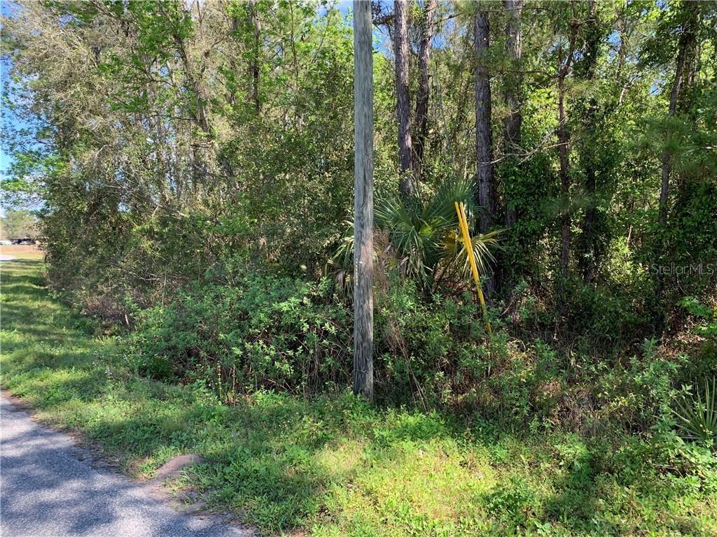 Wekiva Pines Blvd., Sorrento, FL 32776