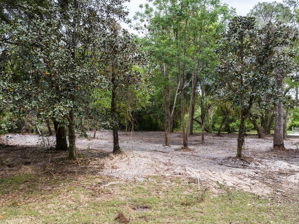 1143 Elysium Blvd., Mount Dora, FL 32757