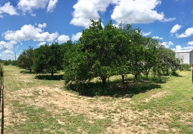 [Address Hidden by Seller], Clermont, FL 34711