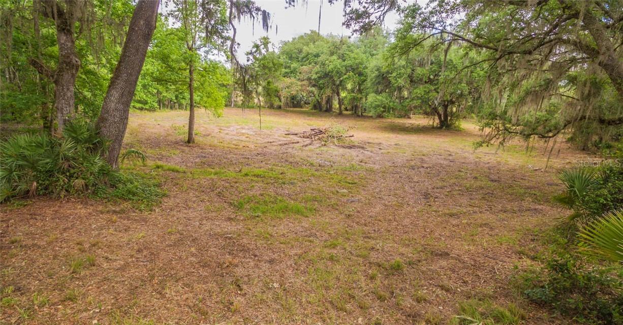 0000 Cr 400, Lake Panasoffkee, FL 33538