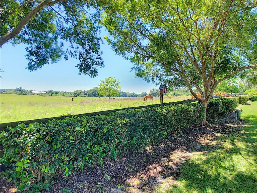 17461 SE 76th Flintlock Ter., The Villages, FL 32162