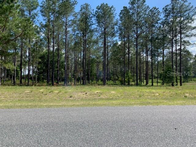 35151 Pinegate Tr., Eustis, FL 32736