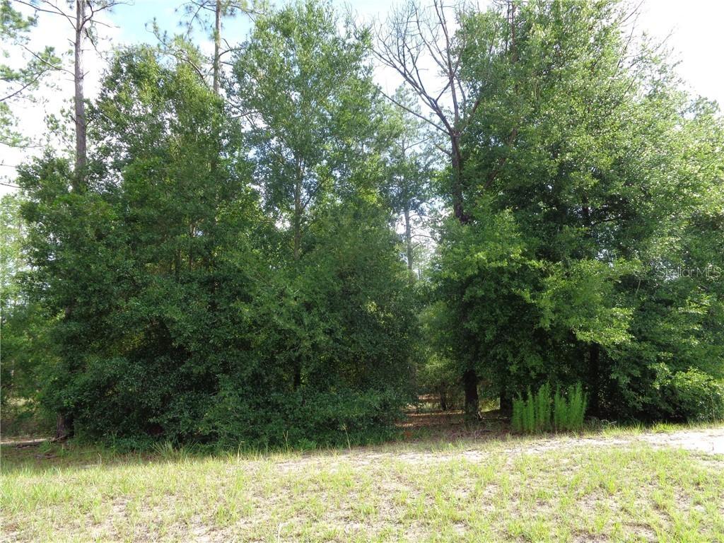 35703 High Pines Dr., Eustis, FL 32736