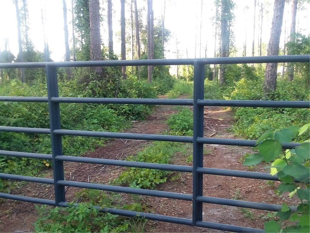 Wildflower Ave., Clermont, FL 34711