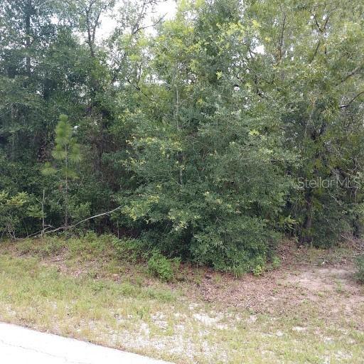 Bahia Pass Ln., Ocala, FL 34472