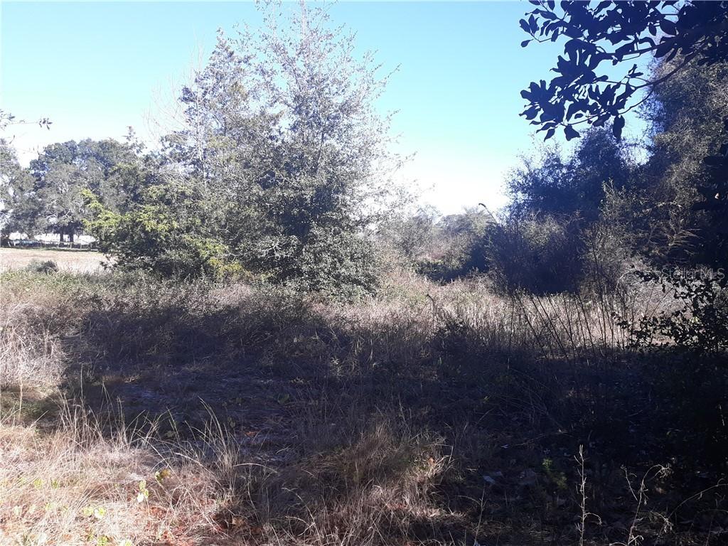 N Palm Cir., Eustis, FL 32726