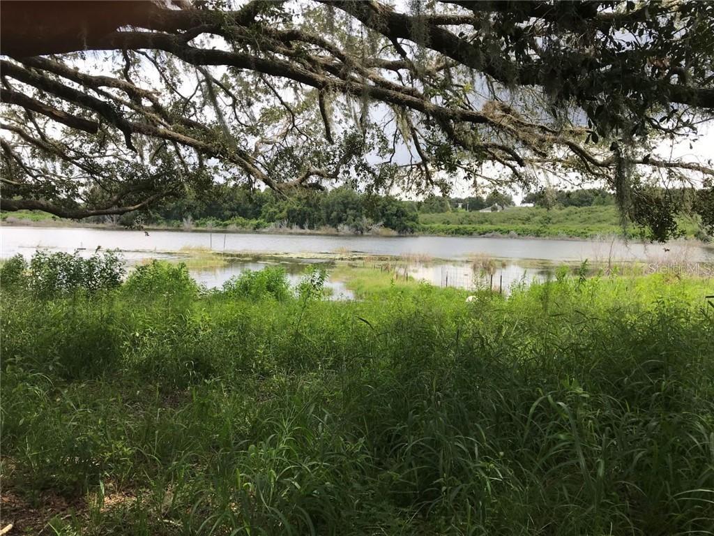 Earth Star Ln., Groveland, FL 34736