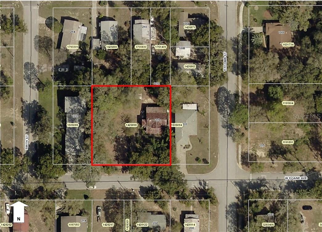 209 W Doane Ave., Eustis, FL 32726