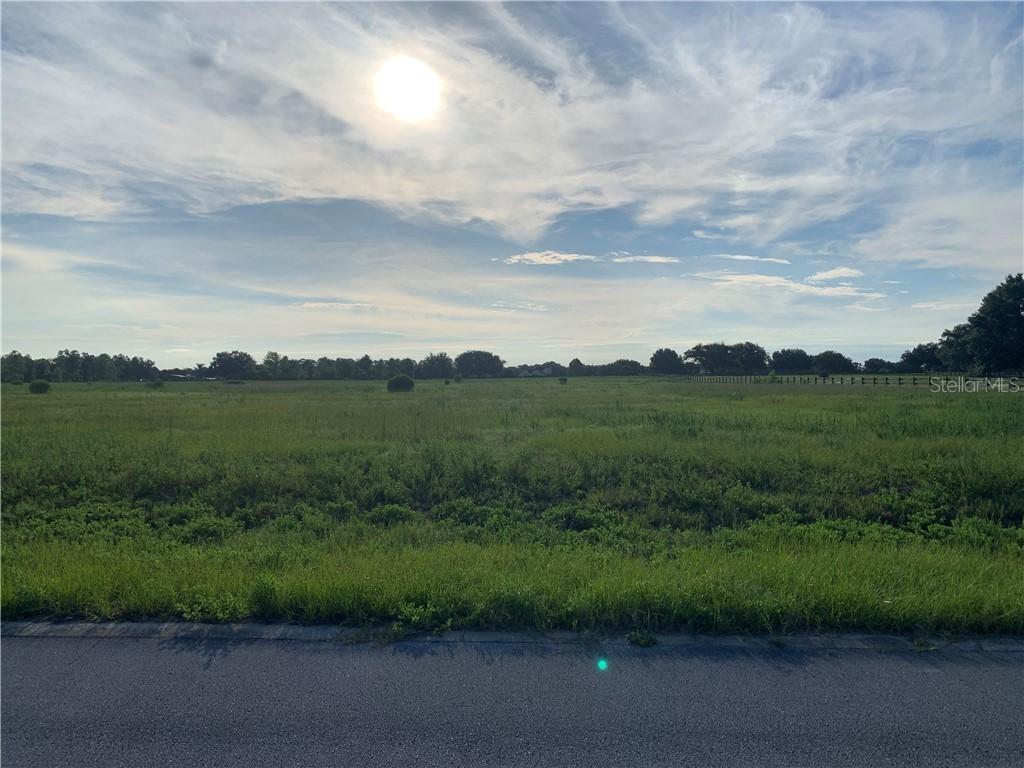 29146 Can Do Ln., Tavares, FL 32778