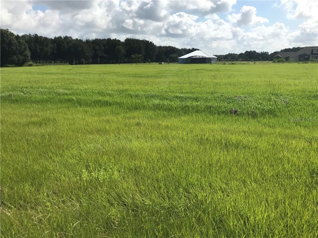 6032 Pretty Ranch Rd., Groveland, FL 34736