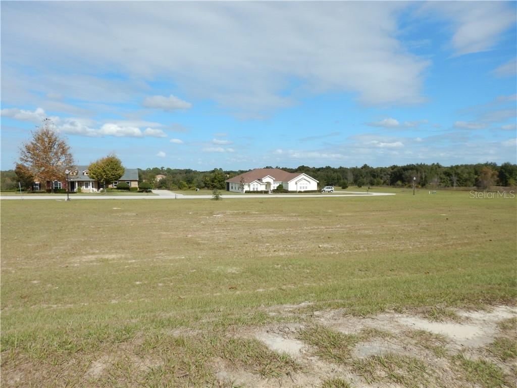 18227 Great Blue Heron (lot #33) Dr., Groveland, FL 34736