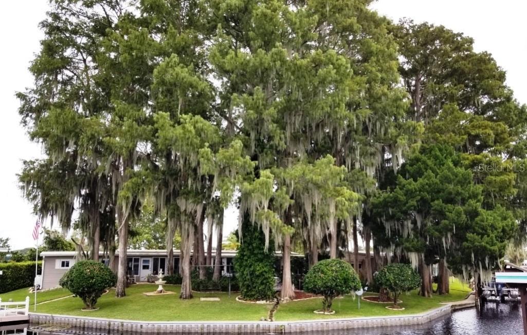 969 Todd Way, Tavares, FL 32778