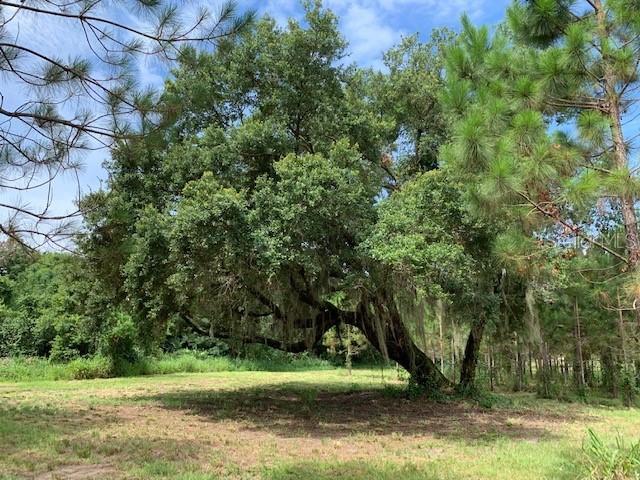 13820 Max Hooks Rd., Clermont, FL 34711