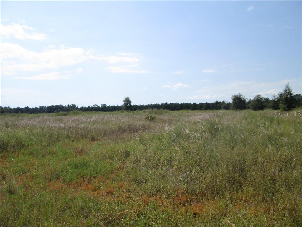 BAY LAKE ROAD Bay Lake Road (caroe) St., Groveland, FL 34736