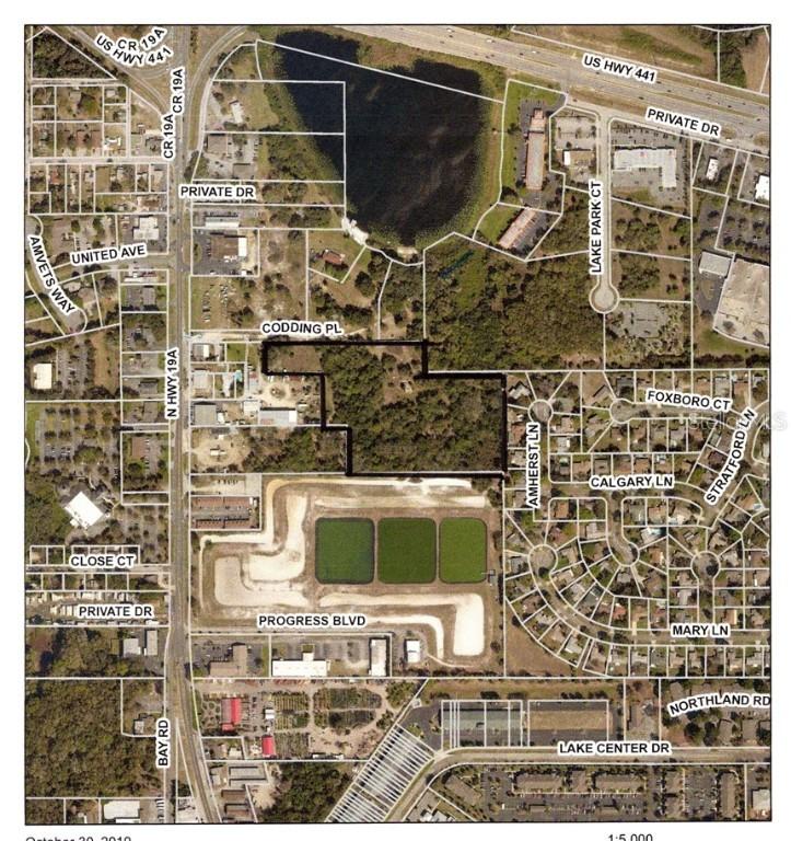 Codding Pl., Mount Dora, FL 32757