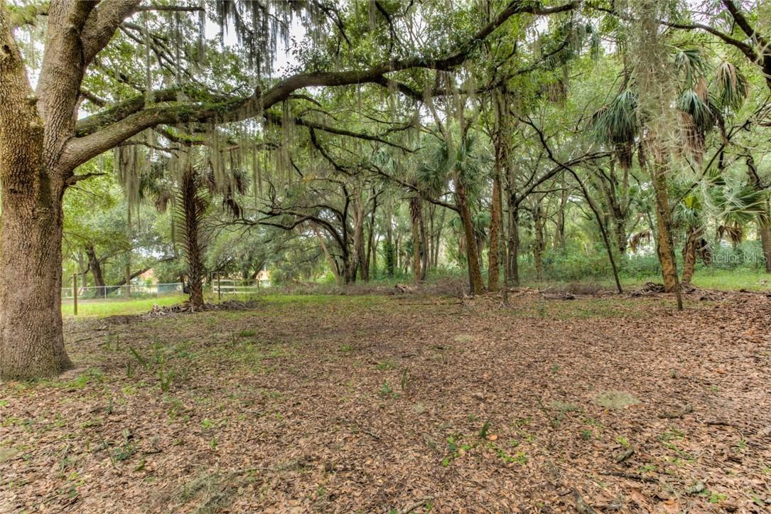 Oak Ave., Mount Dora, FL 32757