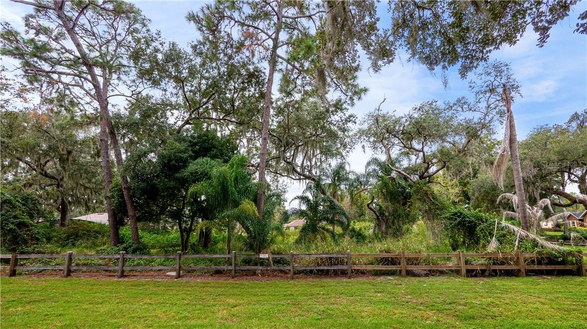 9524 Louisa Woods Ct., Clermont, FL 34711