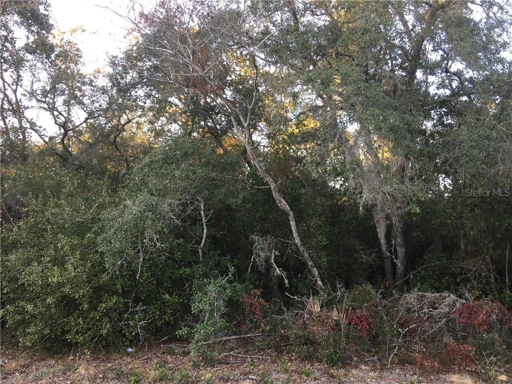 SW 137th, Ocala, FL 34473