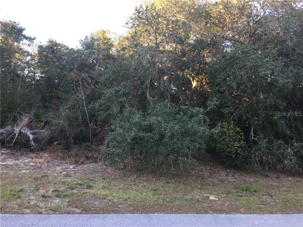 SW 137th Pl., Ocala, FL 34473