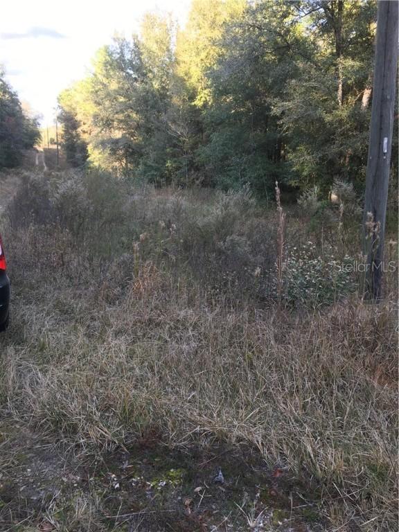 2289 SW 151st Ave., Ocala, FL 34481