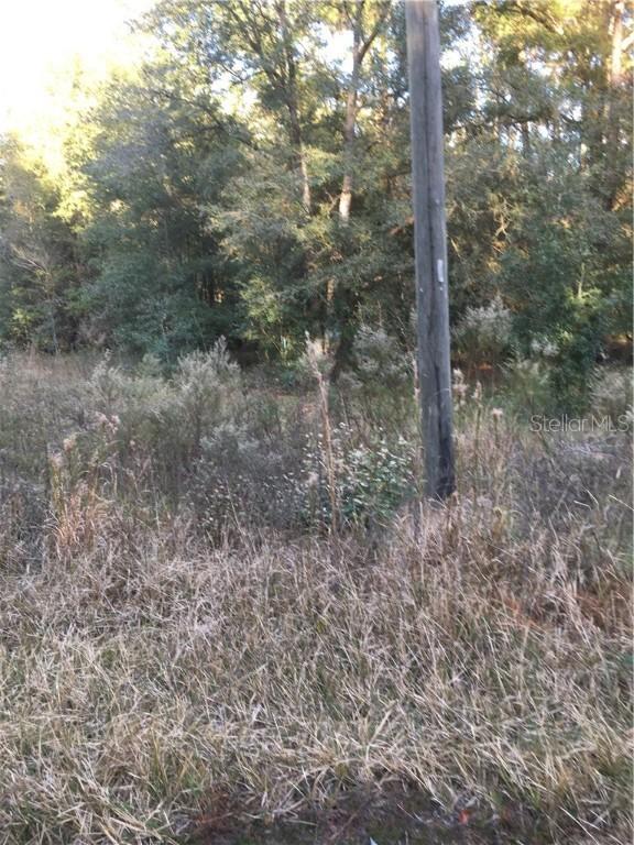 2297 SW 151st Ave., Ocala, FL 34481