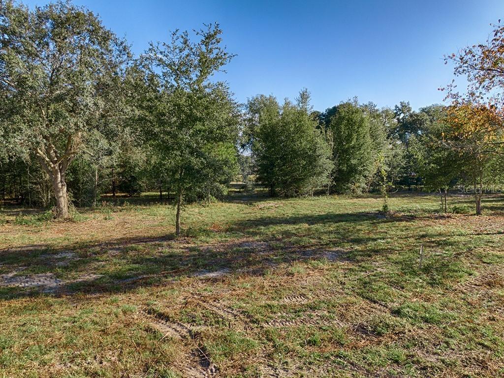 9250 SE Highway 314a, Ocklawaha, FL 32179