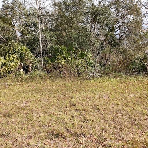 SW 33rd Court Rd., Ocala, FL 34473