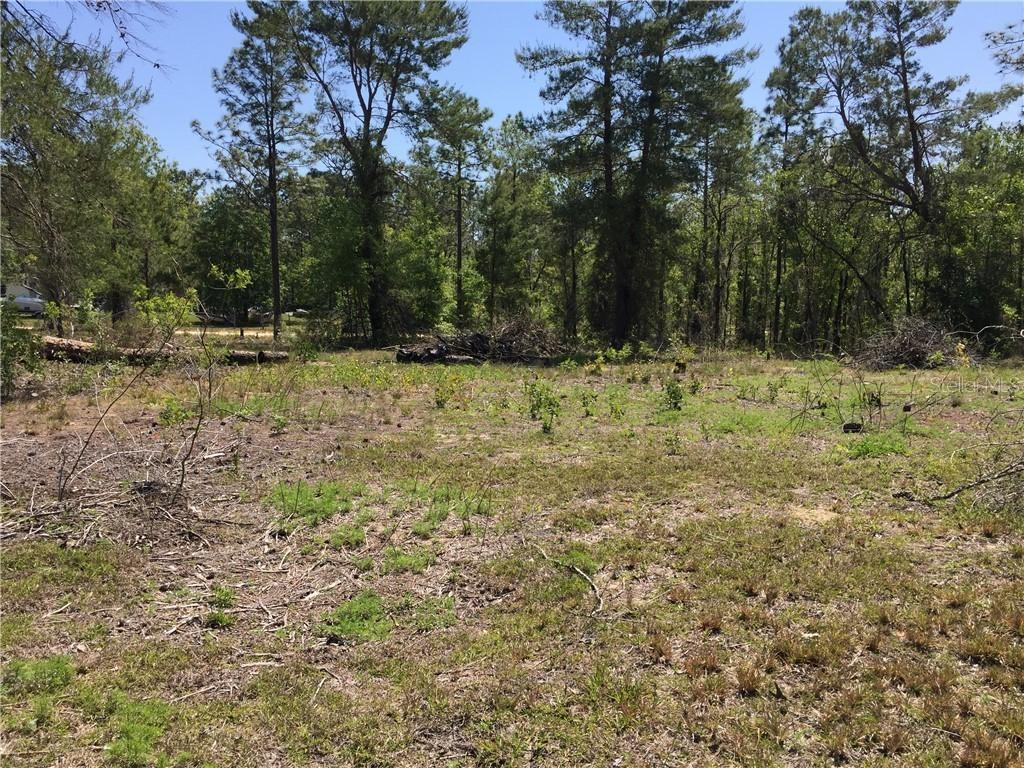 NE 130th Ave., Williston, FL 32696