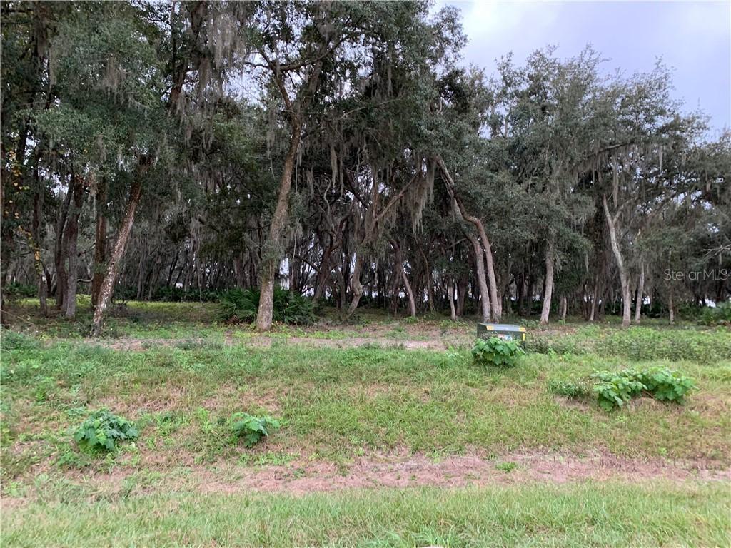 3166 Bright Lake Cir., Leesburg, FL 34748