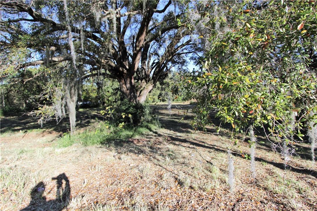 2108 South St., Leesburg, FL 34748