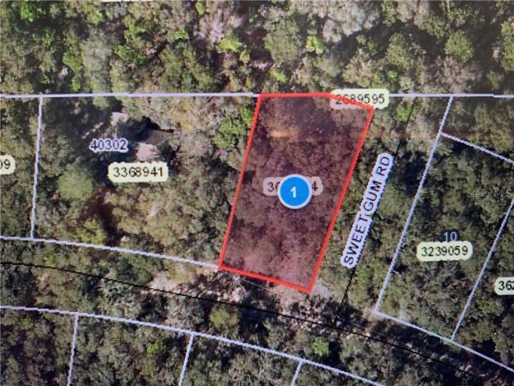 Palm St., Lady Lake, FL 32159