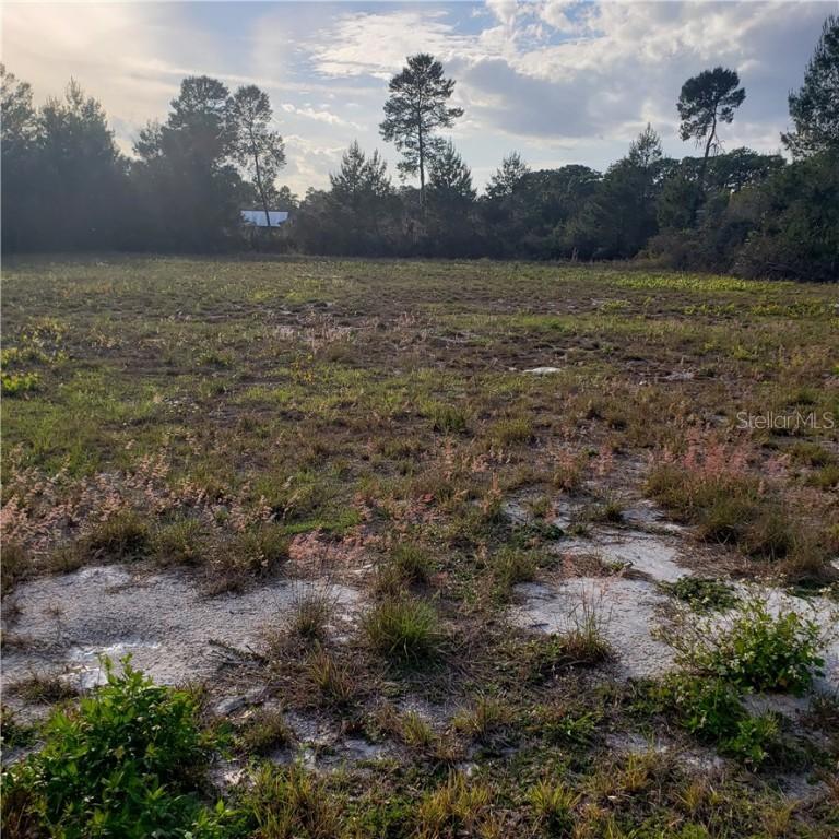 TBD Old Mill, Tavares, FL 32778