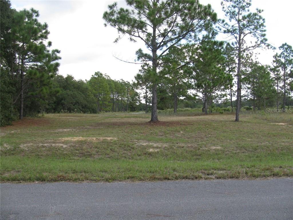 Malauka Loop, Ocklawaha, FL 32179