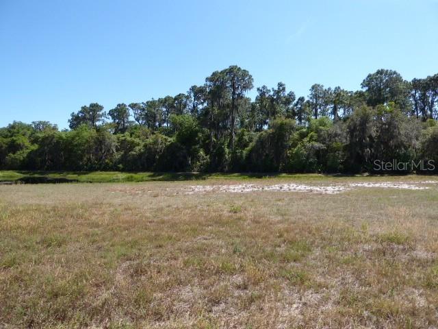 34949 Golden Tree Dr., Leesburg, FL 34788