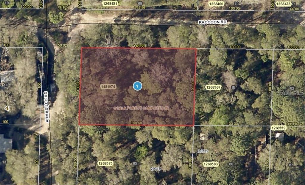 Raccoon Rd., Altoona, FL 32702