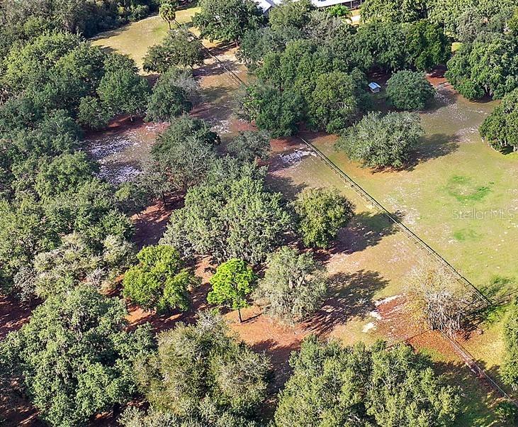Sealine Dr., Leesburg, FL 34748