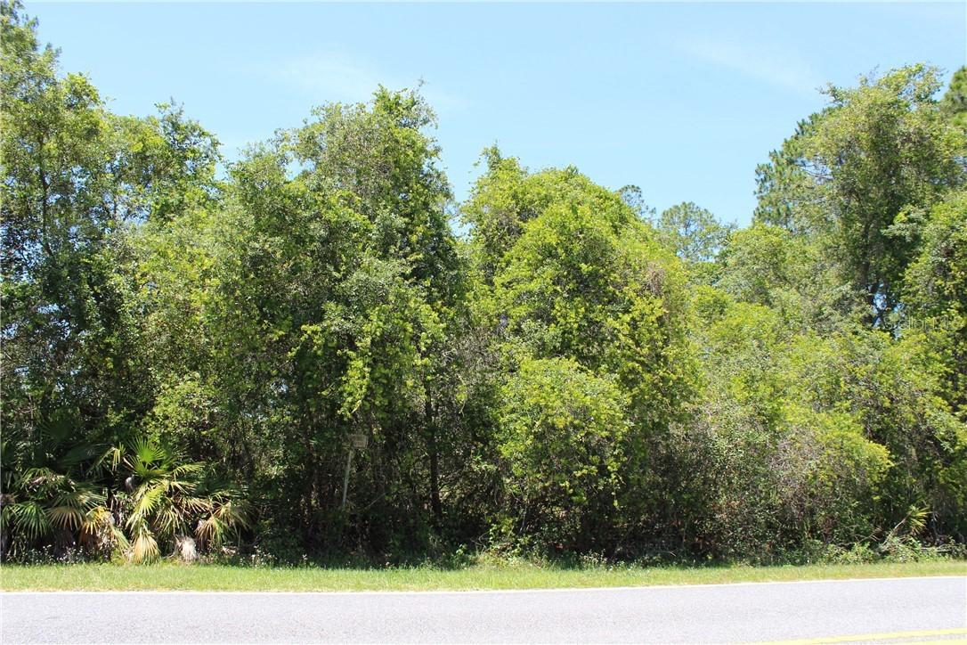 Lot 8 Royal Trails Rd., Eustis, FL 32736