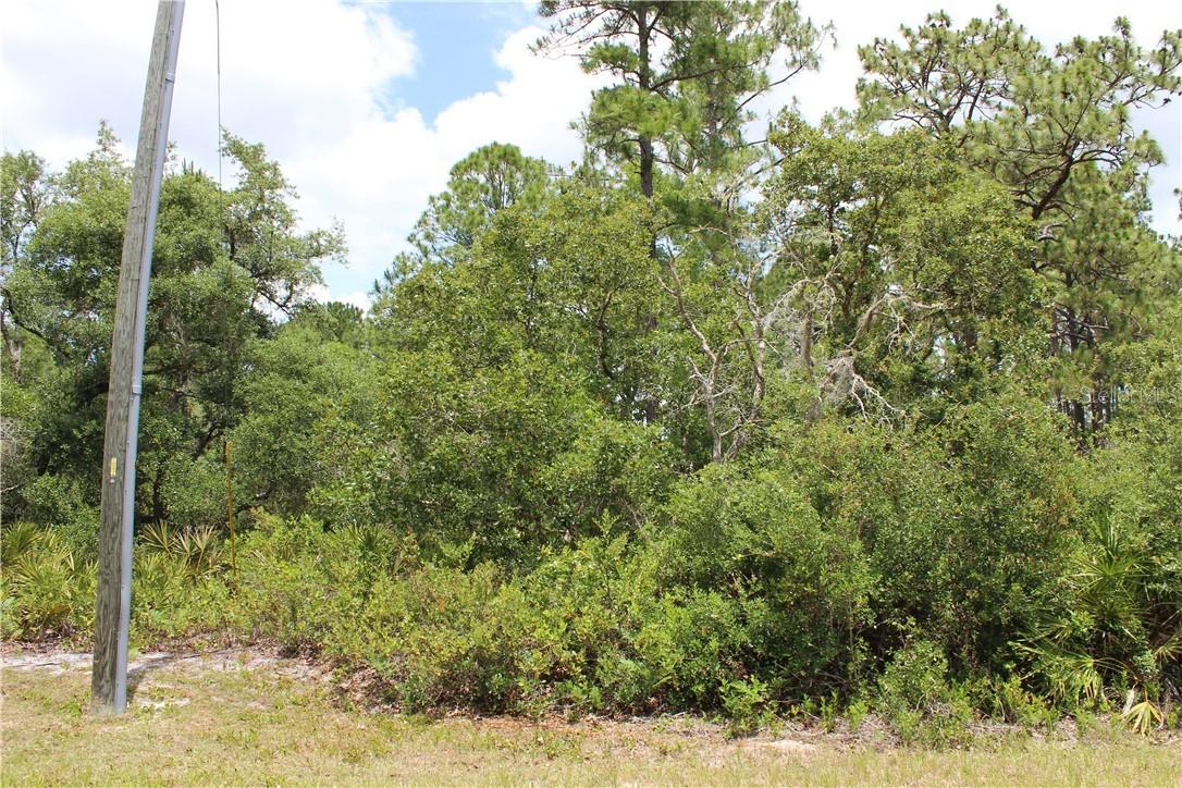 Lot 18 Vitex Ave., Eustis, FL 32736