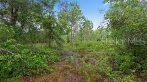 Oil Well Rd., Clermont, FL 34714