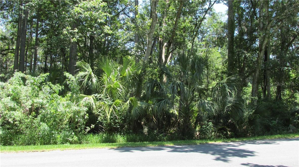 [Address Hidden by Seller], Lake Panasoffkee, FL 33538