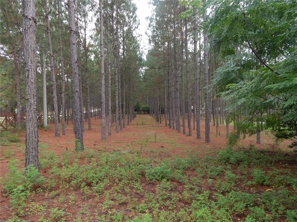 Angels Landing Ct., Clermont, FL 34715