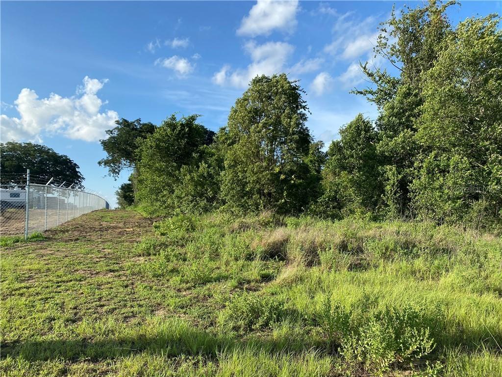 Citrus Grove Rd., Clermont, FL 34715