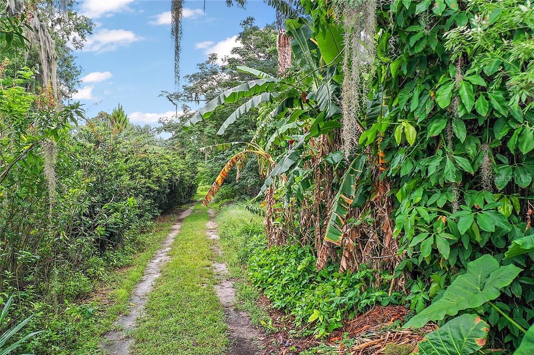 Virginia Ave., Tavares, FL 32778