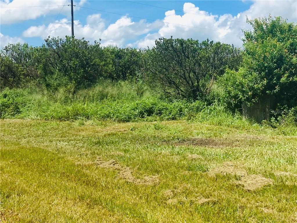 Lake Nellie Rd., Clermont, FL 34714