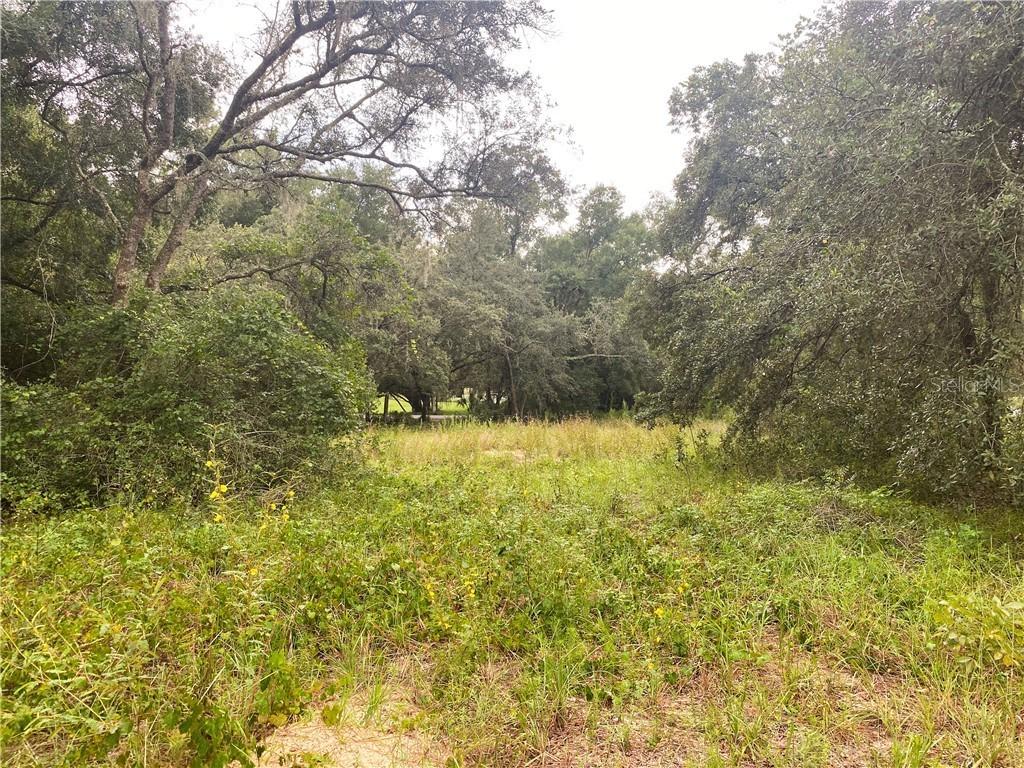 34024 Congressional Ave., Dade City, FL 33523