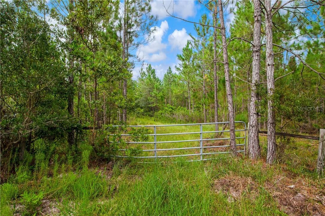 Salyers Rd., Clermont, FL 34714