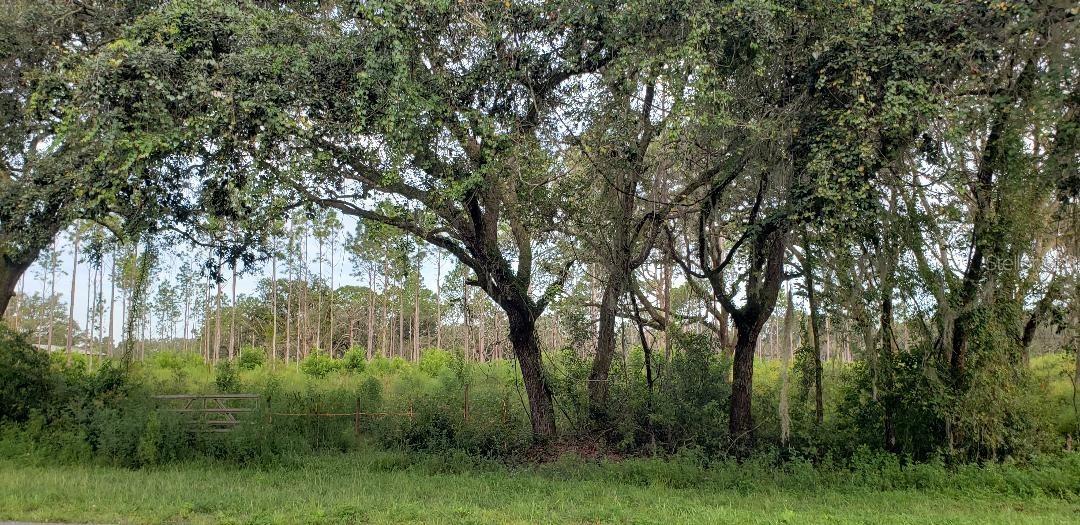 Treiman Blvd., Dade City, FL 33523