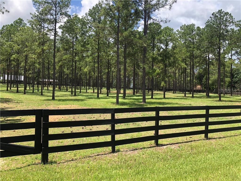 35639 Green Forest Dr., Eustis, FL 32736