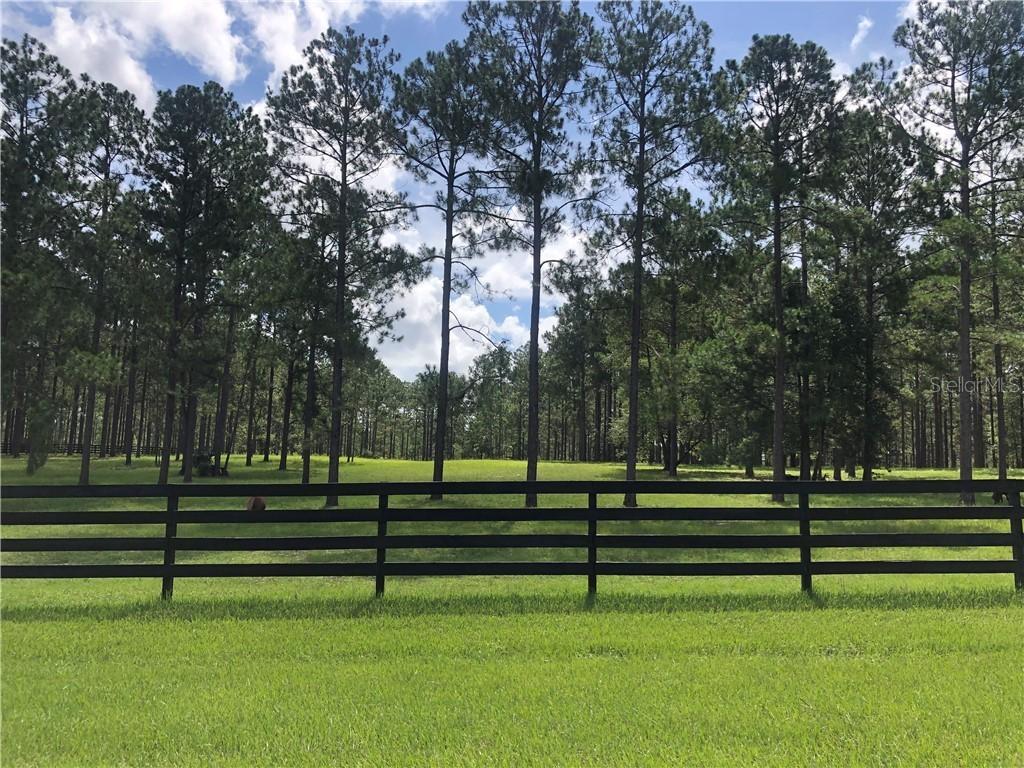 35340 Pinegate Tr., Eustis, FL 32736